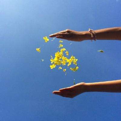 渝中软信产业一季度 实现从“繁星点点”到集群跃升